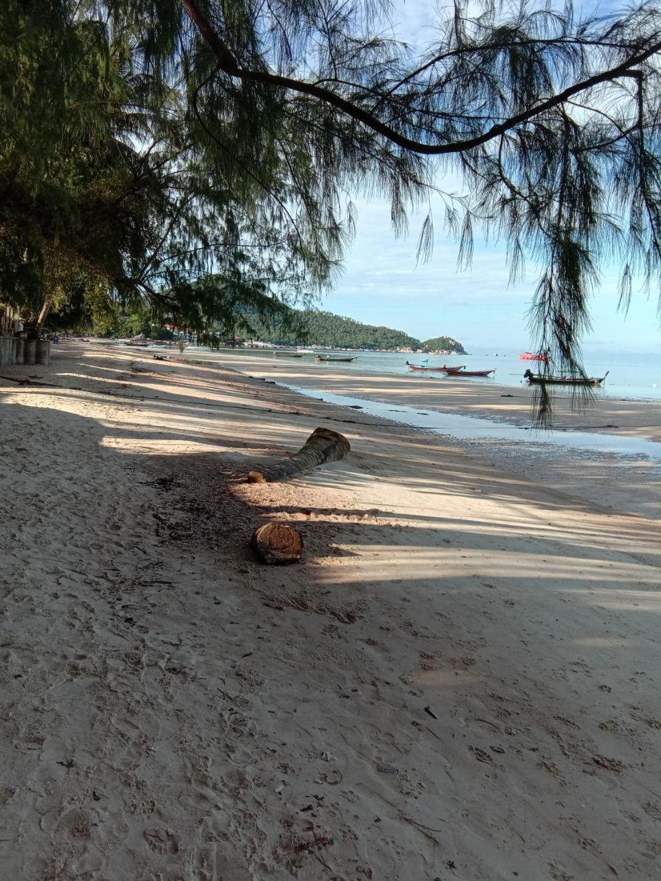 Prik Thai Resort Ko Tao Ngoại thất bức ảnh